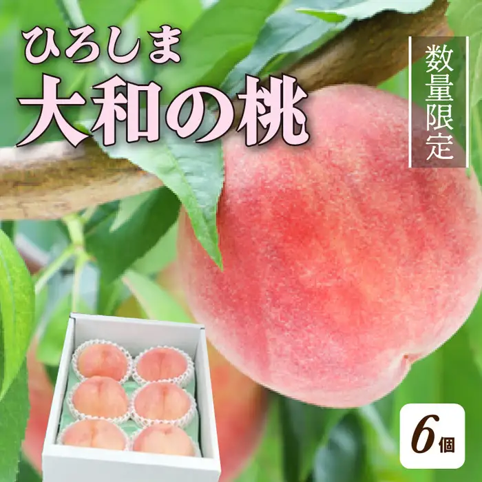 【先行受付】数量限定☆ 部谷桃園 ひろしま大和の桃 6個セット 2026年7月下旬以降発送予定 果物 フルーツ デザート 食後 旬の桃 旬の果物 旬のフルーツ 新鮮 夏 夏の果物 067001