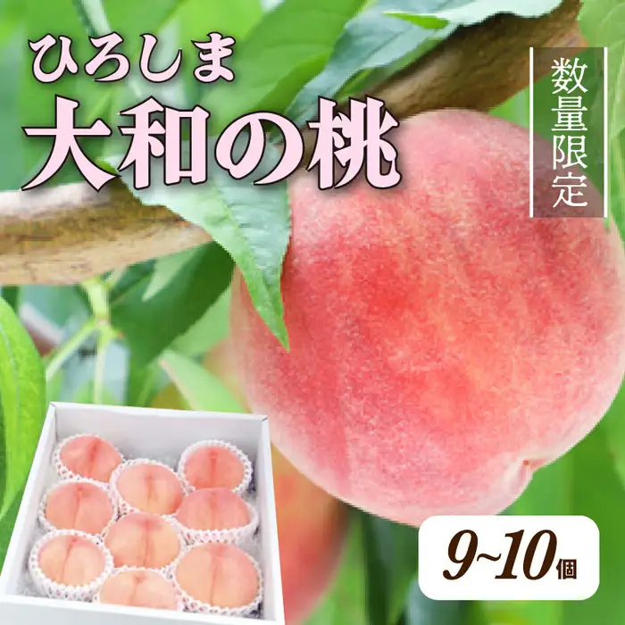 【先行受付】数量限定☆ 部谷桃園 ひろしま大和の桃 9～10個セット 2026年7月下旬以降発送予定 果物 フルーツ デザート 食後 旬の桃 旬の果物 旬のフルーツ 新鮮 夏 夏の果物 067002
