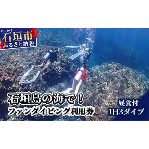 MP-2 石垣島の海でファンダイビング利用券１日３ダイブ