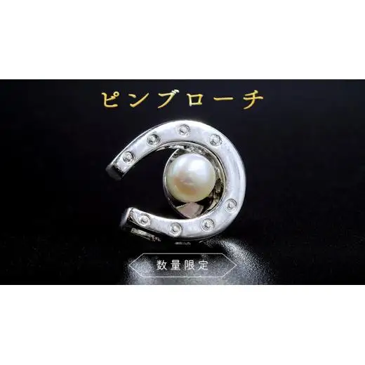 【 数量限定 】 ピン ブローチ