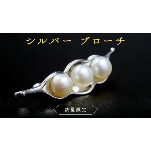 【 数量限定 】 シルバー ブローチ