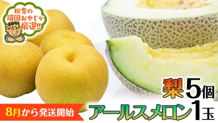 アールスメロン 1個 梨5個 【8月発送開始】