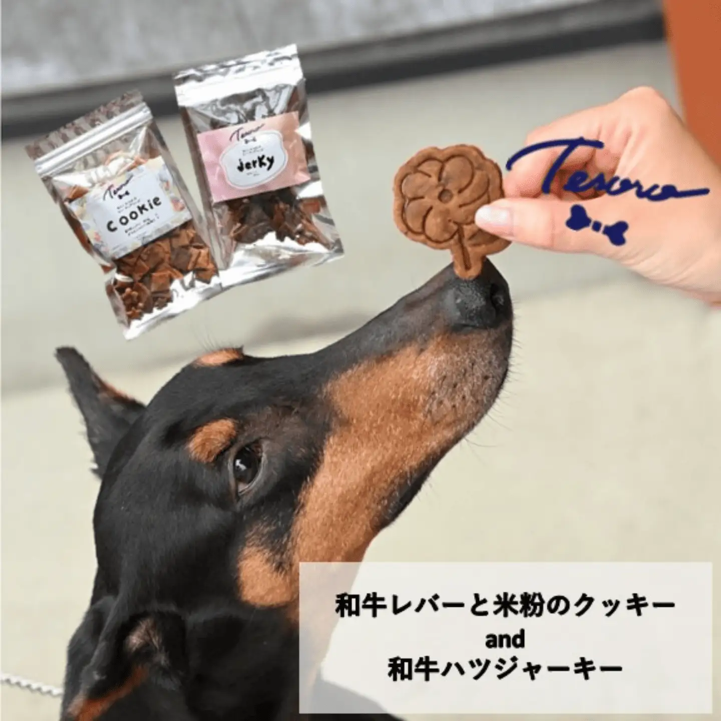 【Tesoro】わんこ用／和牛レバー米粉のクッキーとジャーキー　各1袋入り　クッキー