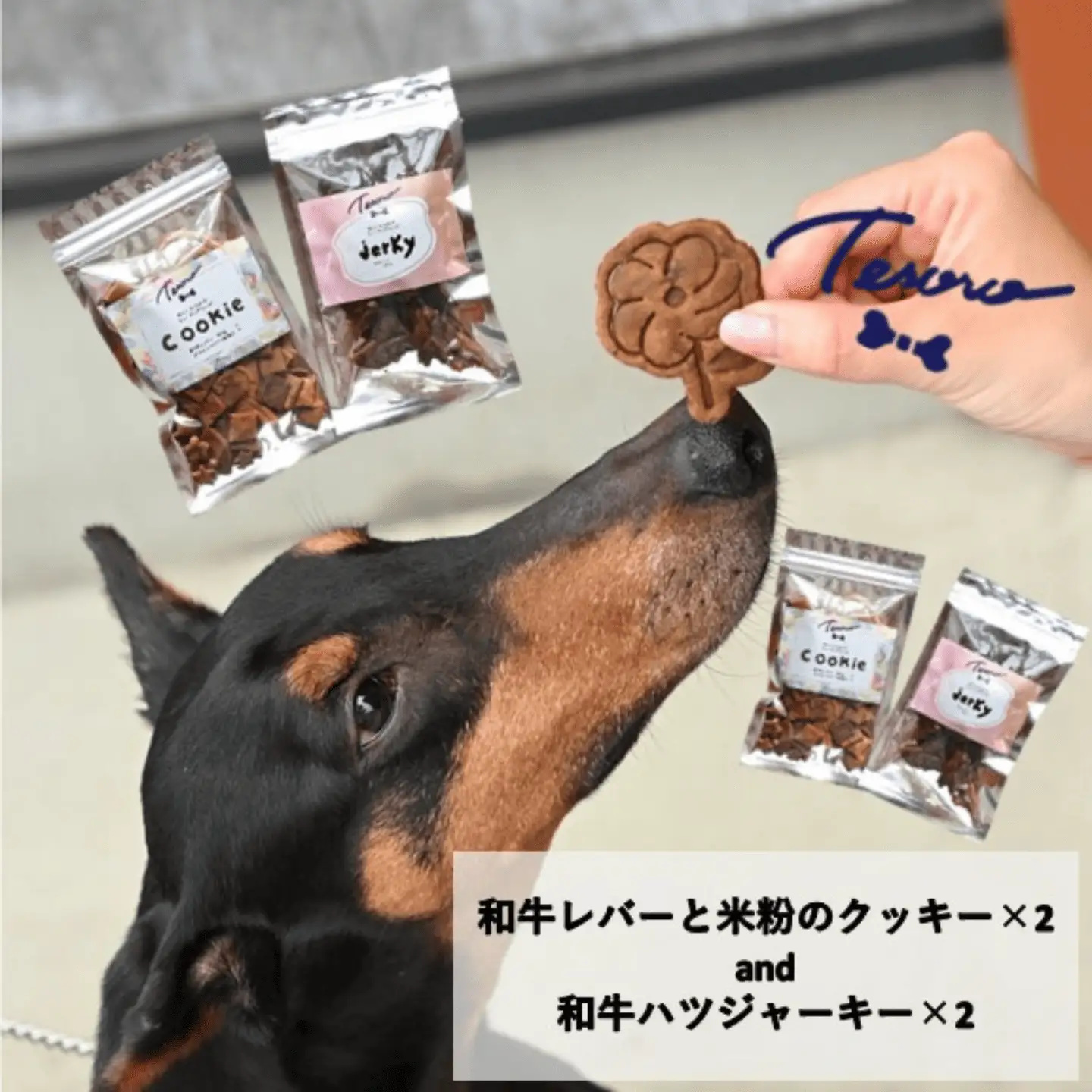 【Tesoro】わんこ用／和牛レバー米粉のクッキーとジャーキー　各2袋セット　クッキー