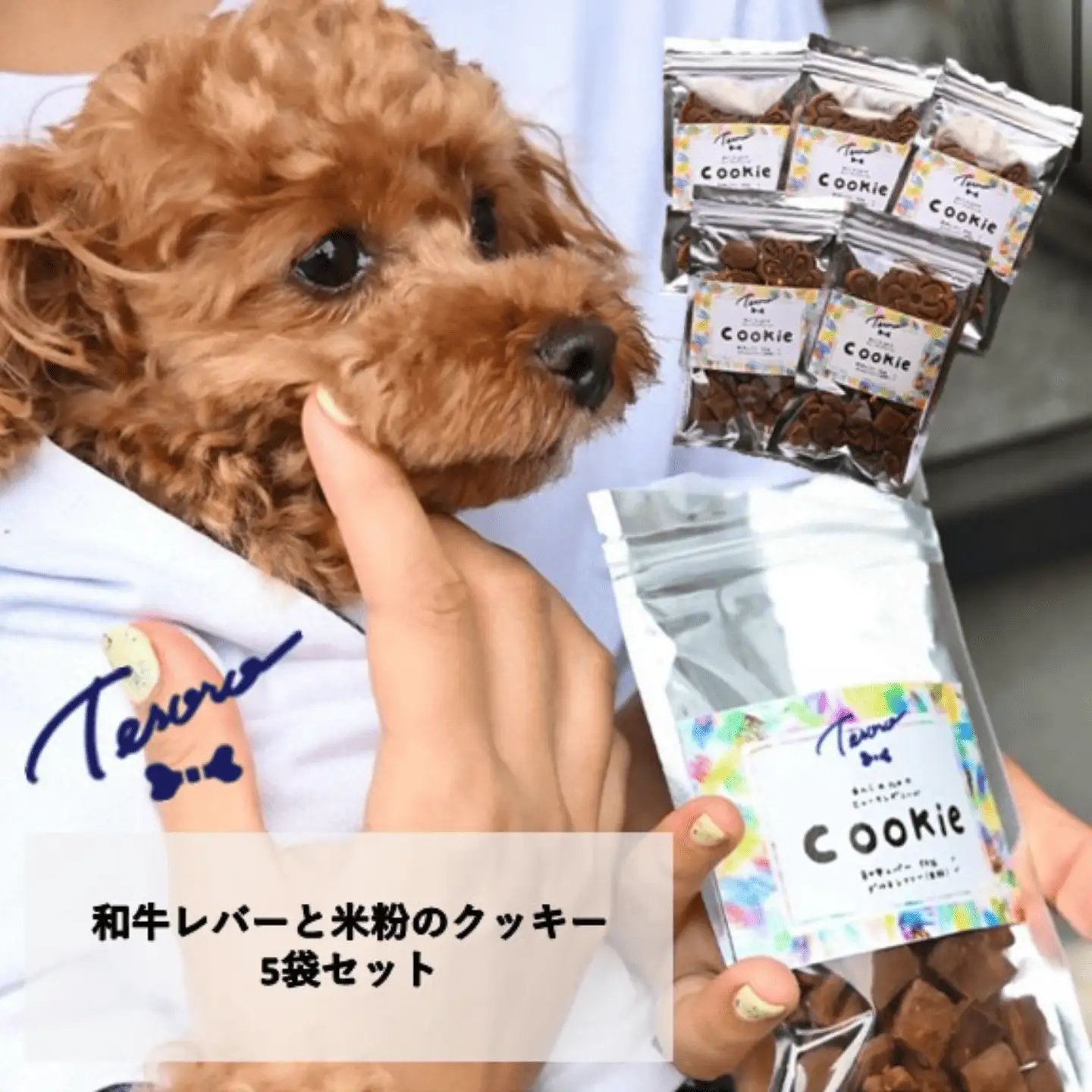 【Tesoro】わんこ用／和牛レバー米粉のクッキー　5袋入り　クッキー
