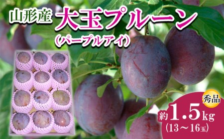 山形市産 大玉プルーン(パープルアイ) 秀 約1.5kg(13～16玉) 【令和8年産先行予約】FU22-758 くだもの 果物 フルーツ 山形 山形県 山形市 2026年産