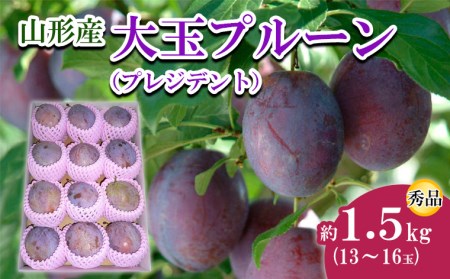 山形市産 大玉プルーン(プレジデント) 秀 約1.5kg(13～16玉)【令和8年産先行予約】FU22-757 くだもの 果物 フルーツ 山形 山形県 山形市 2026年産