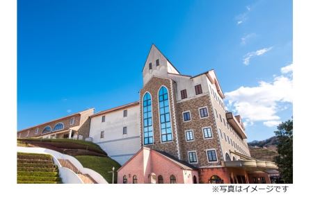 タオル美術館タオルアート、多肉体験、ランチチケット　ペア [TC09050]