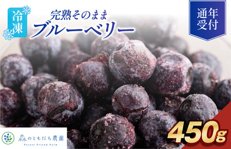 えれまま中粒ブルーベリー3kg KIMONO FRUITS】冷凍ブルーベリー 3000g (1000g×3）栄養価の高い