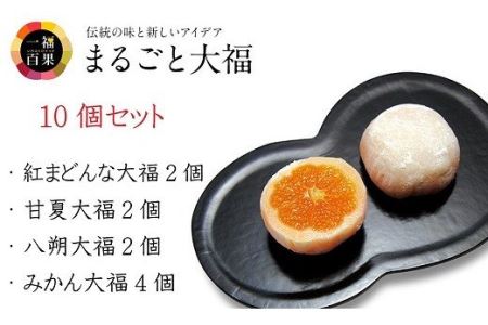 一福百果柑橘大福食べ比べ10個入 [VB02280]