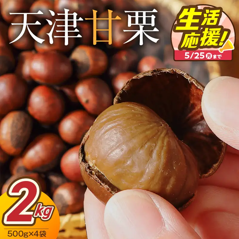 【特別容量 1.6kg⇒2kg】 （ 生活応援 ） この道50年の職人が焼く、やさしい甘みたっっっぷり！「天津甘栗」 2kg 焼きたて 栗 くり 栗爪 殻付き お菓子 おつまみ 人気 高リピート 小分け 栗ご飯 栗きんとん 甘露煮 選べる 発送月 感謝を込めて 碧南市 H045-107