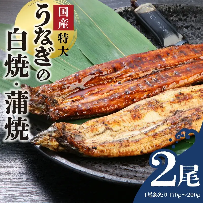 うなぎの白焼・蒲焼セット（特大サイズ 一尾 170g～200g）_国産 うなぎ 白焼 蒲焼 セット 特大 一尾 170g～200gずつ 食べ比べ 濃厚 甘み タレ グルメ 食品 加工品 魚 魚介類 おかず 惣菜 ご飯のお供 酒の肴 冷凍 パック 樋口商店 うなぎ白焼き 福岡県 久留米市 お取り寄せ お取り寄せグルメ 送料無料 〔Cu003〕