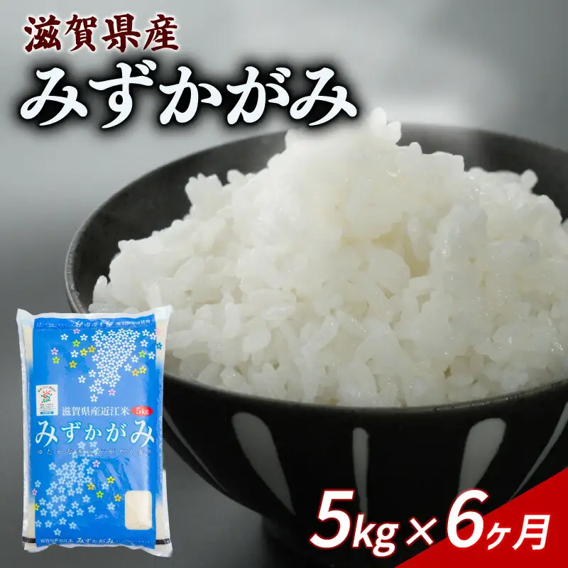 【6ヶ月定期便】みずかがみ 5kg 令和7年産 ミズカガミ 定期便 お米 米