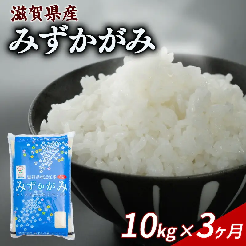 【3ヶ月定期便】みずかがみ 10kg 令和7年産 ミズカガミ 定期便 お米 米
