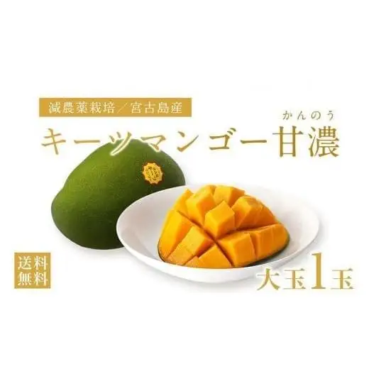 《先行予約》沖縄県宮古島産 減農薬栽培 キーツマンゴー甘濃（かんのう）1玉【琉球マルシェ】
