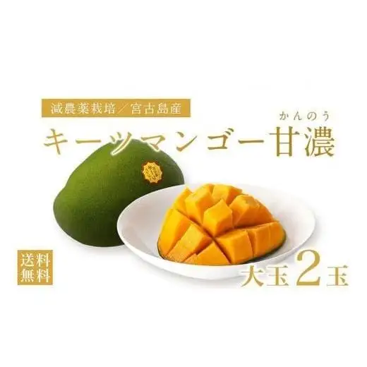 《先行予約》沖縄県宮古島産 減農薬栽培 キーツマンゴー甘濃（かんのう）2玉【琉球マルシェ】