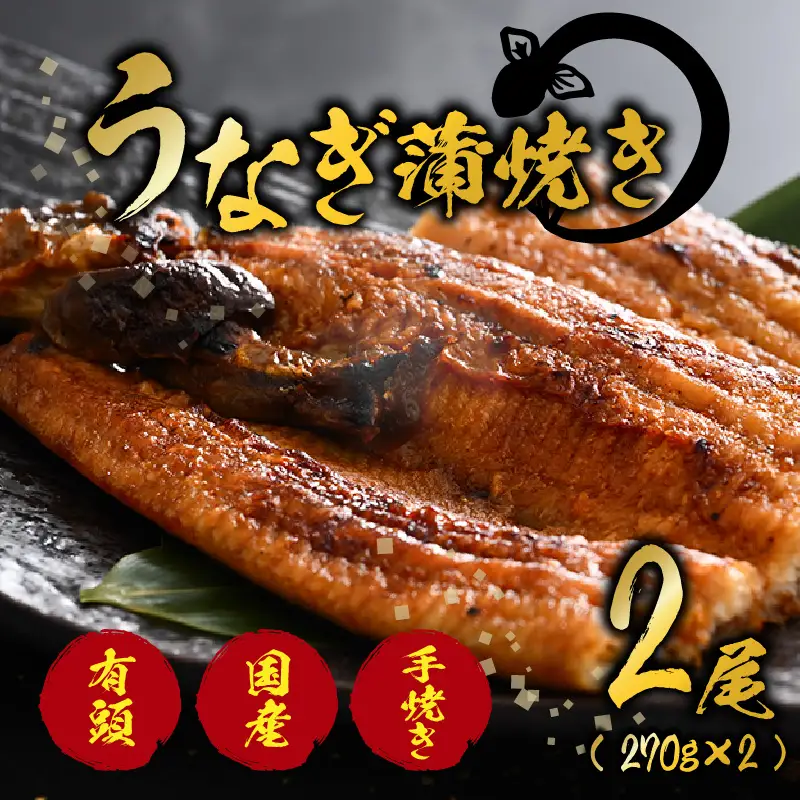 国産 活うなぎ蒲焼 有頭 約270gを2尾（計540g）2～4人前《ご寄付後、発送直前に1つ1つ手焼き！》【年内発送受付12月15日まで】／ 高級 特大 鰻 ウナギ 蒲焼き 老舗魚屋 タレ レンジ 温めるだけ 簡単 土用の丑 うな重  うな丼 自家製タレ付き [aw072-b001]
