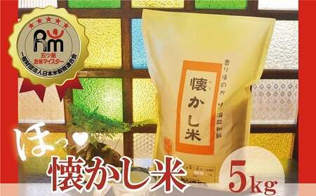 【お米マイスター】ほっ♡懐かし米 5kg H056-143