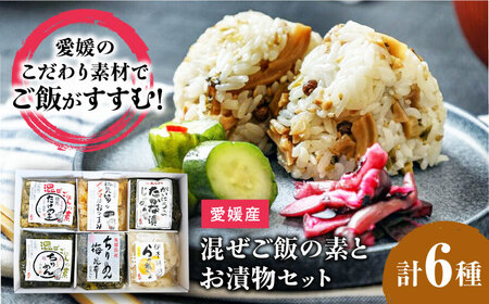 ごはん 愛媛混ぜご飯の素とお漬物セット ごはん[AGBY006]