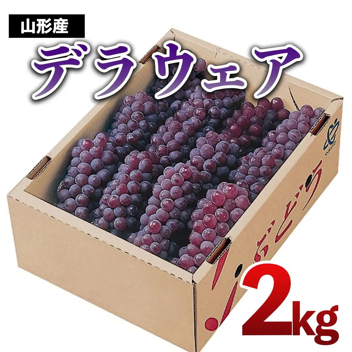 山形市産　デラウェア 2kg(10～12房) 【令和8年産先行予約】FS25-725 くだもの 果物 フルーツ 山形 山形県 山形市 人気 2026年産