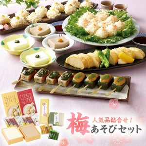 梅の花 梅あそびセット_梅の花通販本舗 梅あそび セット 大豆 惣菜 おかずセット かに とうふ しゅうまい 湯葉 生麩 嶺岡豆腐 木の芽みそ 柚子みそ 詰め合わせ 豆腐 加工品 おかず 福岡県 久留米市 お取り寄せ お取り寄せグルメ 送料無料 〔Cx224〕