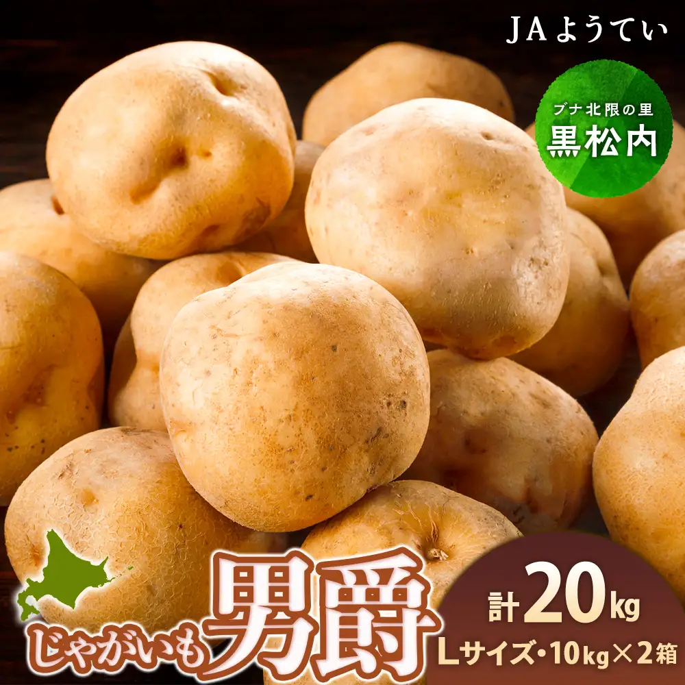 【2026年秋発送 先行予約】じゃがいも 馬鈴薯（男爵）Ｌサイズ　20kｇ＜JAようてい＞