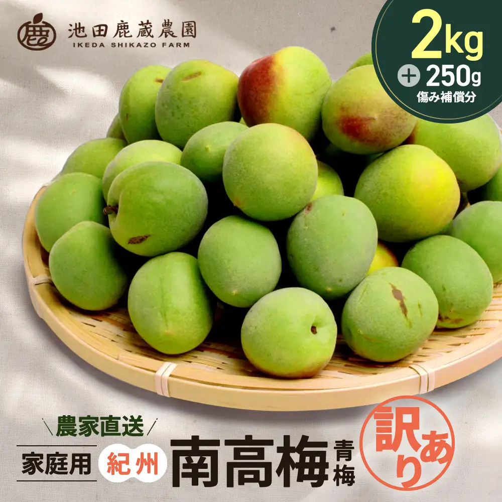 家庭用 紀州南高梅(青梅)2kg+250g（傷み補償分）【梅干し・梅酒・梅ジュース】【訳あり】［IKE111］