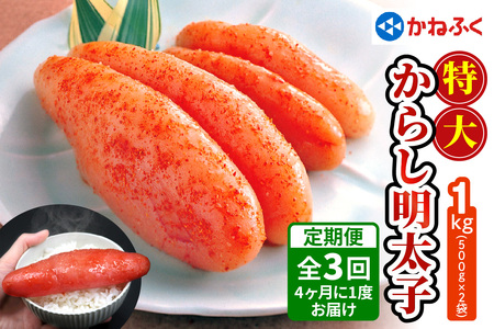 [定期便] 特大からし明太子 1kg XLサイズ『4ヶ月に1度／全3回』かねふく [0113]