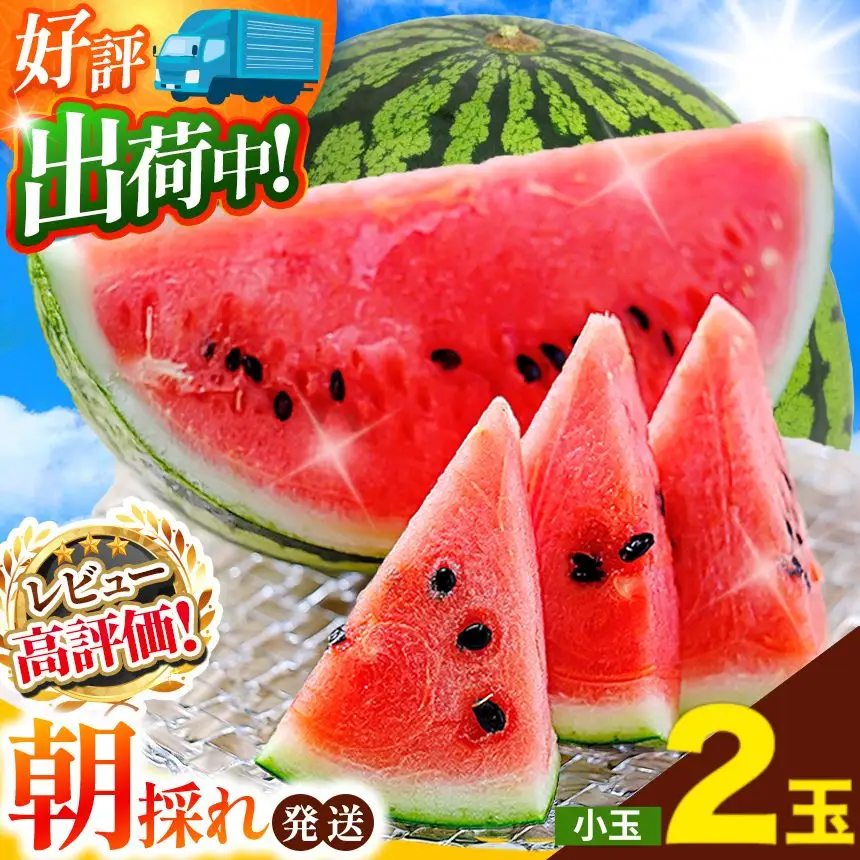 小玉 スイカ （ 赤色 ）2玉 熊本県和水町産 【2026年（令和8年）4月中旬頃から順次出荷予定】  すいか 西瓜