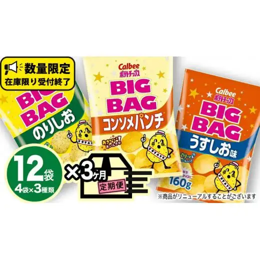【 カルビー 3ヶ月 定期便 】 ポテトチップス BIGBAG 3種 各4袋 セット