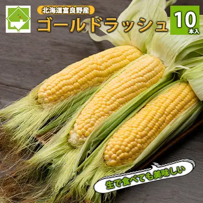 【2026年夏発送】とうもろこし ゴールドラッシュ 10本 北海道 富良野産 とうきび コーン