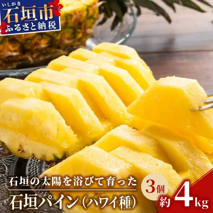 石垣パイン ハワイ種 3個セット