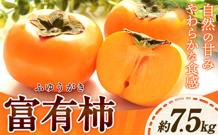 柿 かき 富有柿 約7.5kg 岸武青果株式会社《10月上旬-11月下旬頃出荷》 和歌山県 紀の川市 柿 カキ かき 果物 フルーツ 送料無料