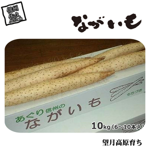 長野県産 ながいも 約10kg 〈2026年12月1日出荷開始～2026年12月25日出荷終了〉| 長芋 長いも 高原野菜 信州佐久 土作りからこだわり 作物本来の美味しさを目指して栽培 長野県 佐久市 旬彩