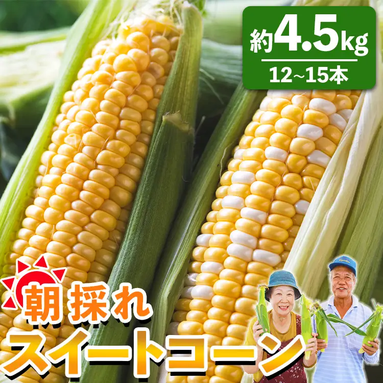 朝採れスイートコーン 4.5kg (12～15本) - 野菜 とうもろこし とうきび トウキビ BBQ キャンプ 旬 おやつ 特産品 数量限定 季節限定 期間限定 sg-0006