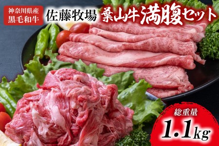 【 神奈川県産 黒毛和牛 】 三浦市 の 佐藤牧場 が育てた 葉山牛 満腹セット （ 切落し ＋ 肩ロース ） M079-009 肉 牛肉 冷凍