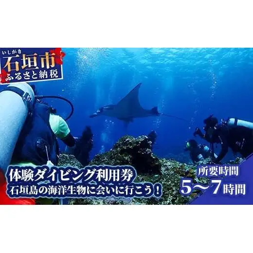 体験ダイビング利用券　石垣島のマンタ・サンゴ・ウミガメに会いに行こう YD-2-1