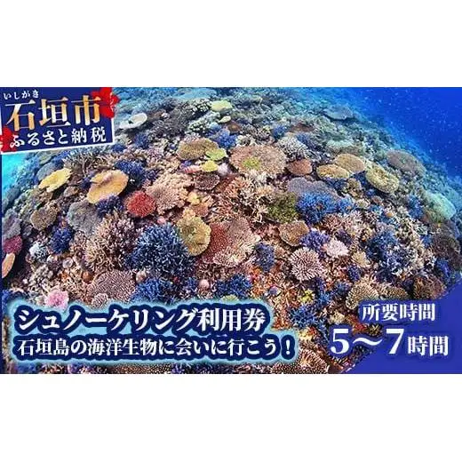 シュノーケリング利用券　石垣島のマンタ・サンゴ・ウミガメに会いに行こう YD-3-1