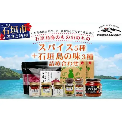 UY-2 石垣島海のもの山のものスパイス&オリジナル詰め合わせセットB