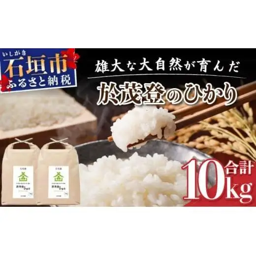 石垣島産 於茂登(おもと)のひかり 10kg みやぎ米屋　MK-2 