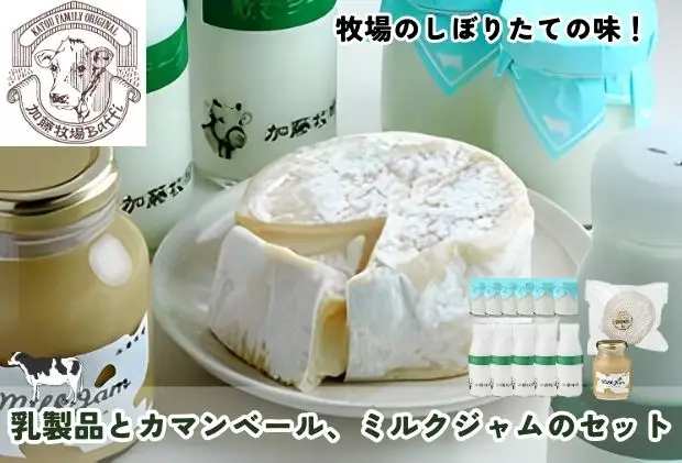 加藤牧場 乳製品とカマンベール、ミルクジャムのセット ヨーグルト 乳飲料 ドリンク のむヨーグルト 発酵食品 牧場直送 チーズ 朝ごはん 