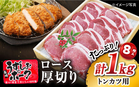 長崎うずしおポーク ロース 1kg 訳あり CAG001 ロース