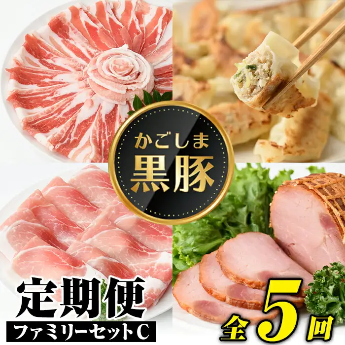 【D02005】＜定期便・全5回＞かごしま黒豚ふるさと定期便 ファミリーセットC(月1回×5ヶ月) 鹿児島 国産 肉 豚肉 黒豚 焼豚 肩ロース ロース モモ 餃子 ぎょうざ しゃぶしゃぶ とんかつ セット 定期便 【和田養豚】