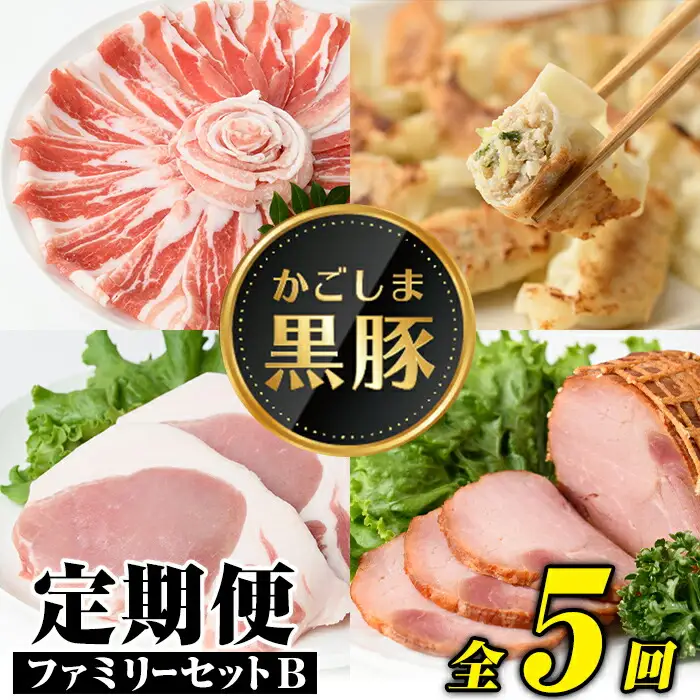 【D02004】＜定期便・全5回＞かごしま黒豚ふるさと定期便 ファミリーセットB(月1回×5ヶ月) 鹿児島 国産 肉 豚肉 黒豚 焼豚 肩ロース ロース モモ 餃子 ぎょうざ しゃぶしゃぶ とんかつ セット 定期便 【和田養豚】