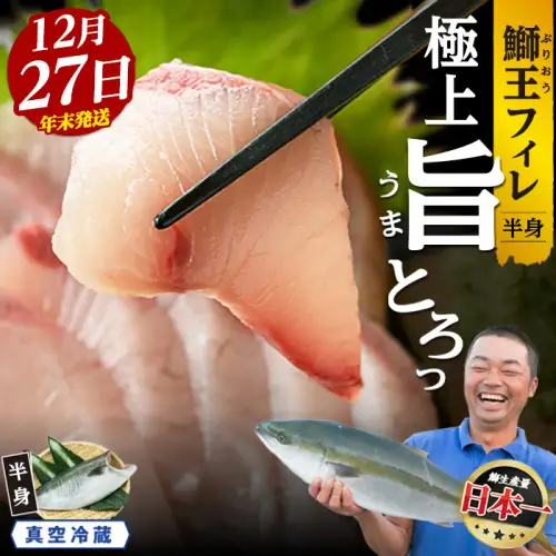 【期間限定特別寄附額】＼年末発送 先行予約／＜数量限定＞【2026年12月27日発送】『旅サラダ』で紹介ぶりの王様「 鰤王 」 フィレ 半身 (約1.2kg～・フィレ1枚) 産地直送 新鮮 旨味が抜群の 長島町 特産品 ブランド ぶり 鰤 ブリ 切り身 真空 冷蔵 刺身 ぶりしゃぶ しゃぶしゃぶ 魚 魚介 人気 ランキング 年末年始発送 【JFA】jfa-1630-27