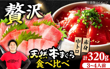 天然本まぐろ赤身＆中トロセット(160g×2) [AOCE002] まぐろ