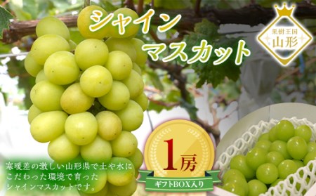 《2026年発送 先行予約》 山形県産シャインマスカット 1房 600g マスカット ぶどう ブドウ 葡萄 デザート フルーツ 果物 くだもの 果実 食品 山形県 FSY-0195