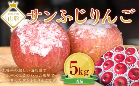 【先行予約】サンふじりんご 5kg (16～20玉) ギフト箱入り 山形県産 《2026年11月中旬から発送開始》 りんご リンゴ 林檎 デザート フルーツ 果物 くだもの 果実 食品 山形県 FSY-0196