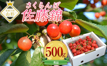 《先行予約 2026年6月上旬発送》山形県産さくらんぼ佐藤錦 秀品 L玉 500gパック 化粧箱入り FSY-0197