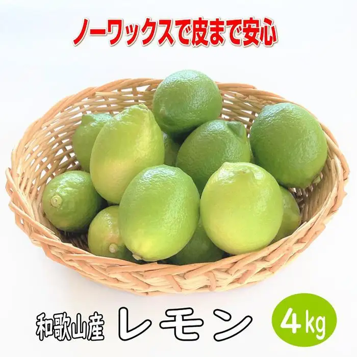  和歌山産レモン/グリーンレモン 4kg  檸檬 国産